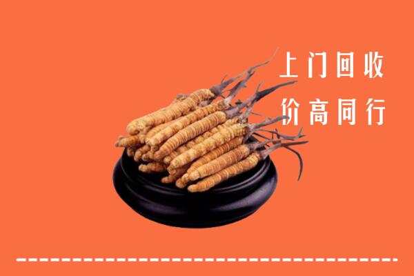 高价求购：元江县回收散虫草