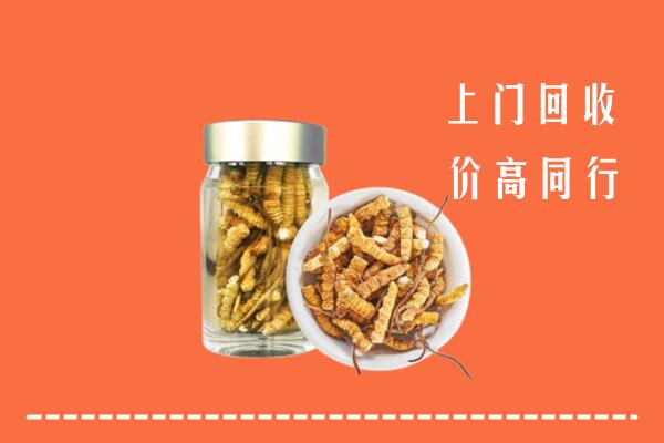 元江县回收冬虫夏草
