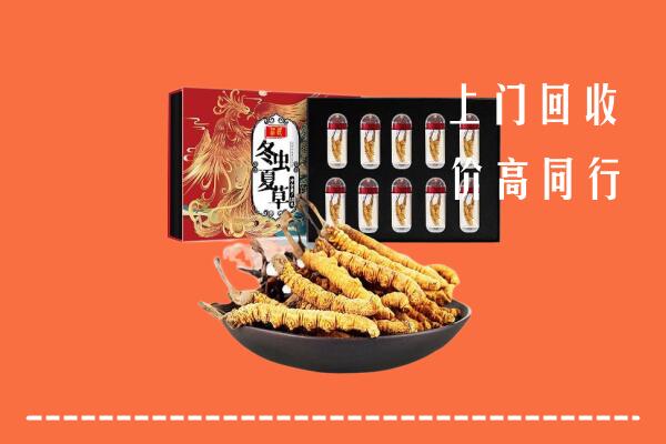 元江县回收虫草